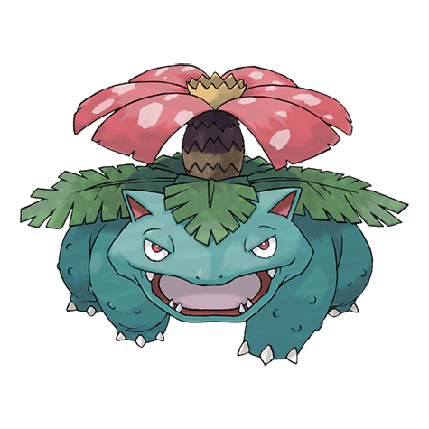 이상해꽃